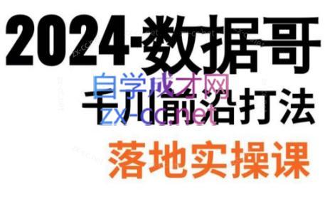 数据哥·2024年千川前沿打法落地实操课-小鹏项目网