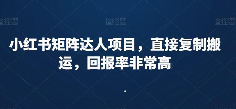 小红书矩阵达人项目，直接复制搬运，回报率非常高-小鹏项目网