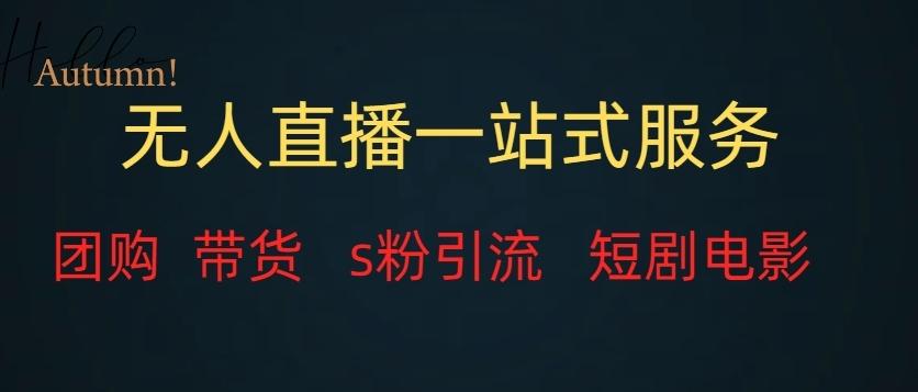 无人直播一站式服务（教程以及变现方式）-小鹏项目网