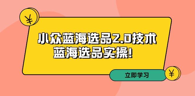 拼多多培训第33期：小众蓝海选品2.0技术-蓝海选品实操！-小鹏项目网