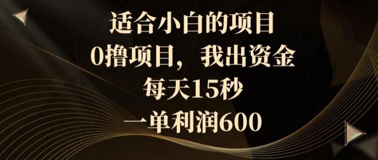 适合小白的项目，0撸项目，我出资金，每天15秒，一单利润600-小鹏项目网