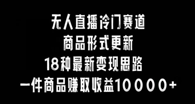 无人直播冷门赛道，商品形式更新，18种变现思路，一件商品赚取收益10000+【揭秘】-小鹏项目网