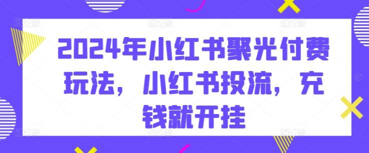 2024年小红书聚光付费玩法，小红书投流，充钱就开挂-小鹏项目网