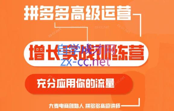 大麦老师·拼多多单品爆款打造课程(更新6月)-小鹏项目网