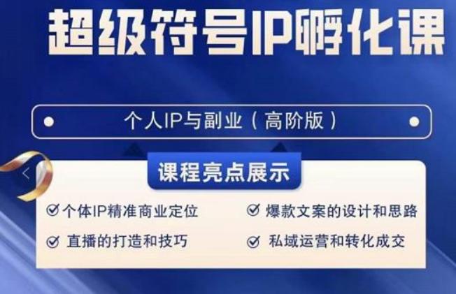 超级符号IP孵化高阶课，建立流量思维底层逻辑，打造属于自己IP（51节课）-小鹏项目网