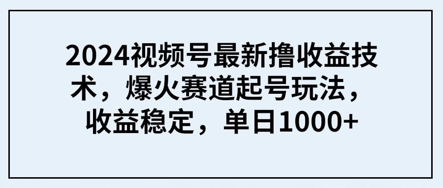 (9651期) 2024视频号最新撸收益技术，爆火赛道起号玩法，收益稳定，单日1000+-小鹏项目网