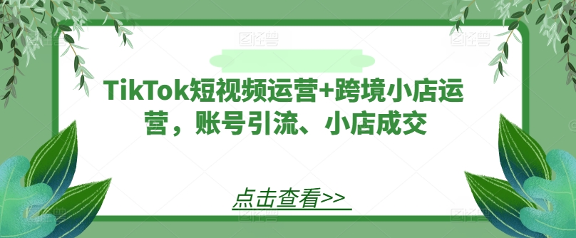 TikTok短视频运营+跨境小店运营，账号引流、小店成交-小鹏项目网