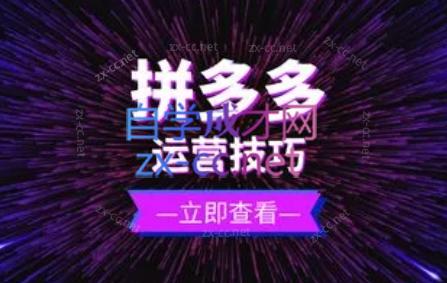 力辛电商·拼多多强付费店群玩法-小鹏项目网
