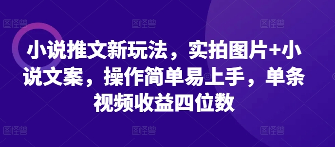 小说推文新玩法，实拍图片+小说文案，操作简单易上手，单条视频收益四位数-小鹏项目网