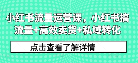 小红书流量运营课，小红书搞流量+高效卖货+私域转化-小鹏项目网