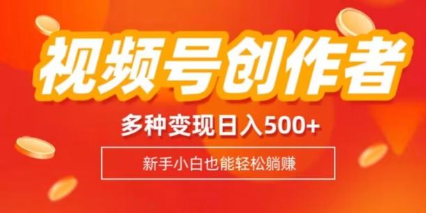 视频号创作者计划，多种变现方式，日入500+【内附1080g视频素材】-小鹏项目网