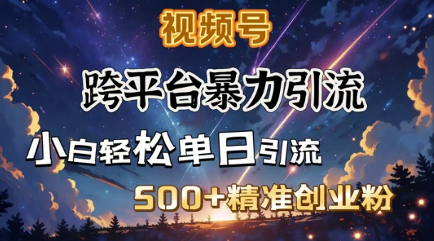 跨平台暴力引流，私域完美闭环，日引500+精准创业粉-小鹏项目网