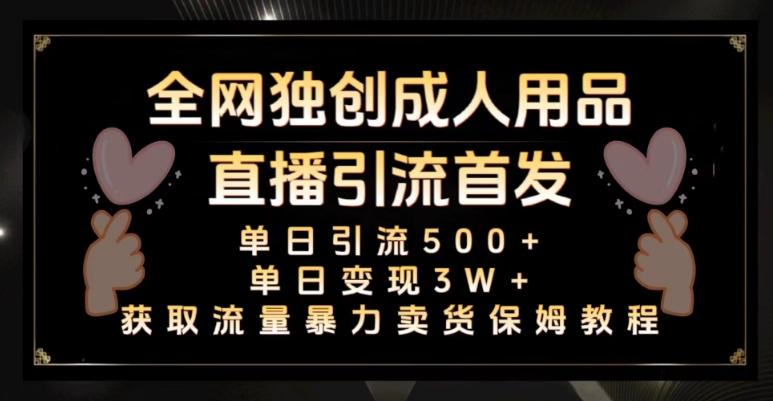 全网独创真人主播+无人直播单日引流500+，橙人用品暴力卖货单日变现3W+保姆似教学2.0【揭秘】-小鹏项目网