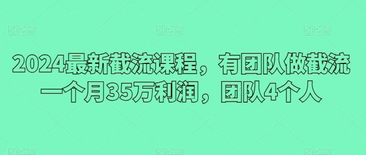 2024最新截流课程，有团队做截流一个月35万利润，团队4个人-小鹏项目网