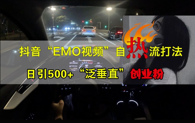 抖音EMO视频自热打法，日引500+“泛垂直”创业粉-小鹏项目网