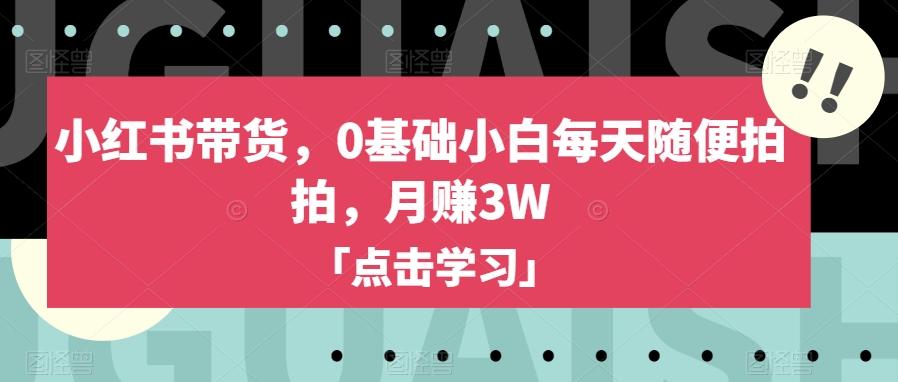 小红书带货，0基础小白每天随便拍拍，月赚3W【揭秘】-小鹏项目网