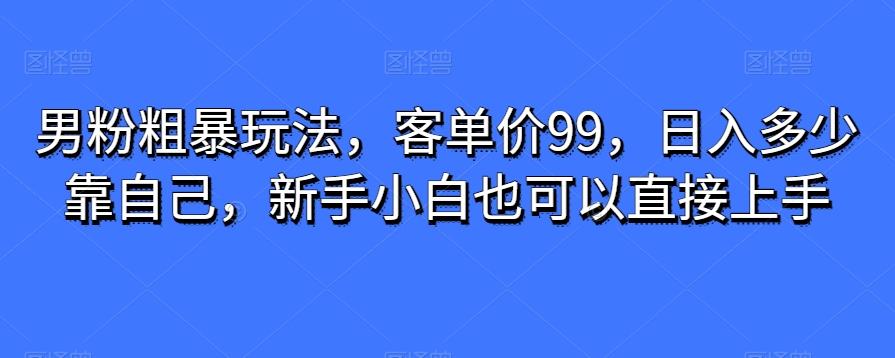 男粉粗暴玩法，客单价99，日入多少靠自己，新手小白也可以直接上手-小鹏项目网