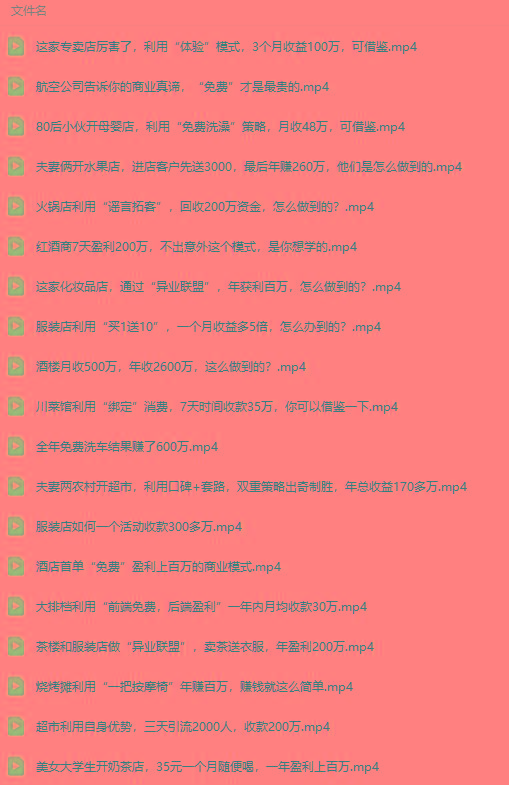 图片[5]-(9607期)真实有效391套商业模式，年入几十到几百万案例解析(电子书+视频+图文)-小鹏项目网