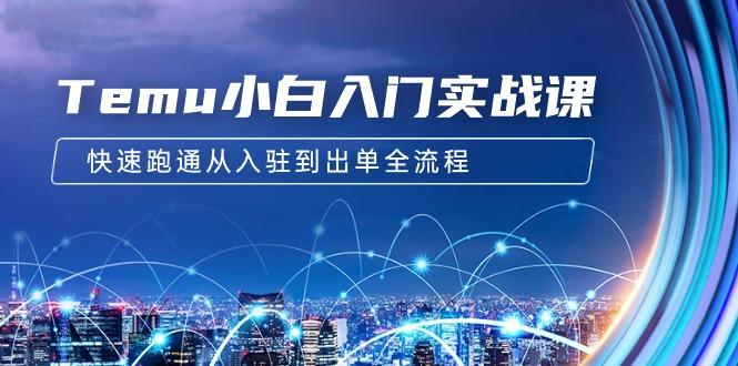(9295期)Temu小白入门实战课：跨境拼多多电商培训 快速跑通从入驻到出单全流程-12节-小鹏项目网