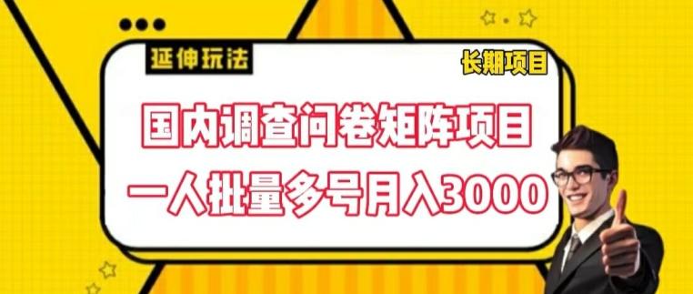 国内调查问卷矩阵项目，一人批量多号月入3000【揭秘】-小鹏项目网