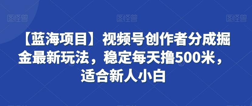 【蓝海项目】视频号创作者分成掘金最新玩法，稳定每天撸500米，适合新人小白【揭秘】-小鹏项目网
