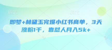 即梦+林黛玉完爆小红书商单，3天涨粉1千，靠怼人月入5k+-小鹏项目网