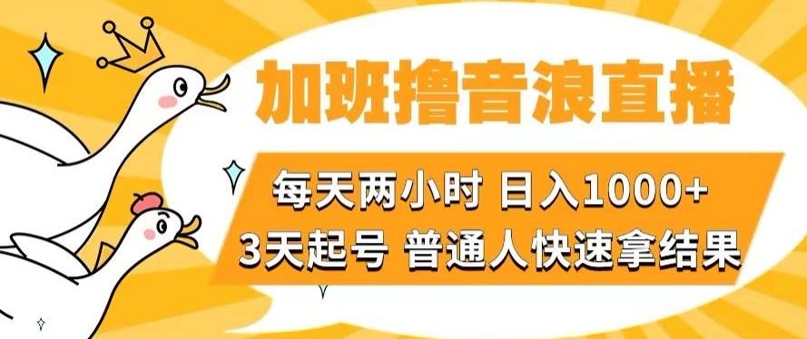 加班撸音浪直播，每天两小时，日入1000+，直播话术才3句，3天起号，普通人快速拿结果【揭秘】-小鹏项目网