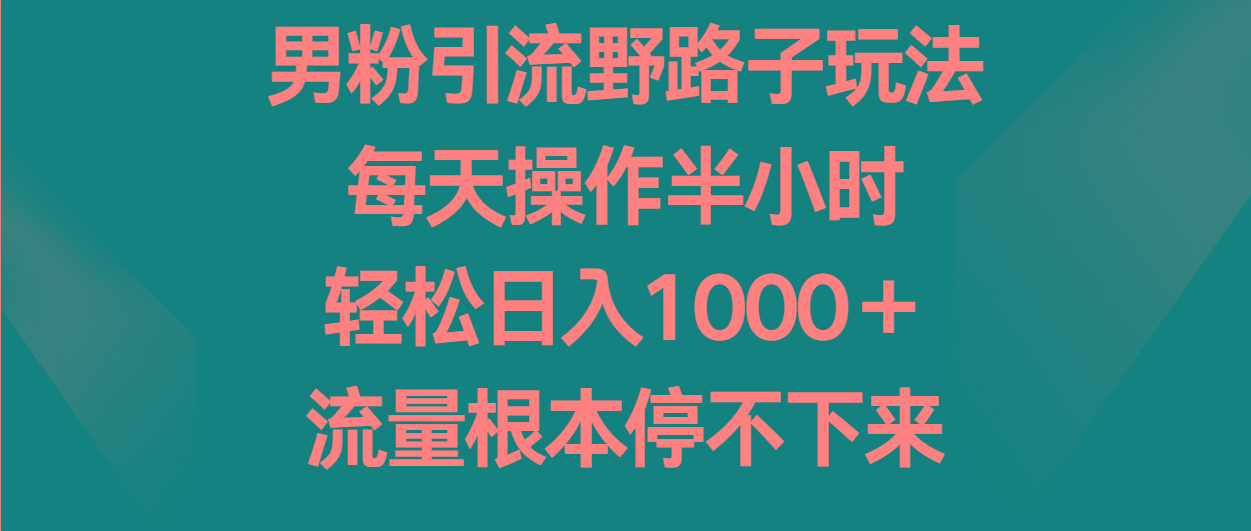 男粉引流野路子玩法，每天操作半小时轻松日入1000＋，流量根本停不下来-小鹏项目网