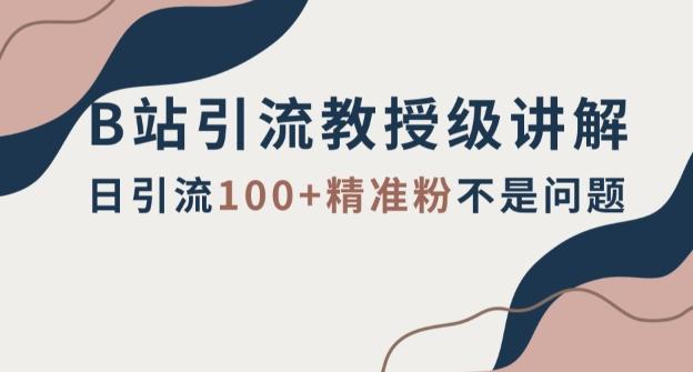 B站引流教授级讲解，细节满满，日引流100+精准粉不是问题【揭秘】-小鹏项目网