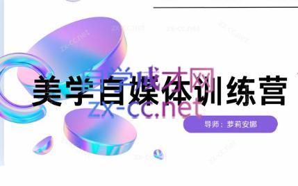 安娜·美学自媒体IP系统课-小鹏项目网