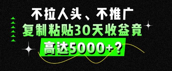 不拉人头、不推广，复制粘贴30天收益竟高达5000+？-小鹏项目网