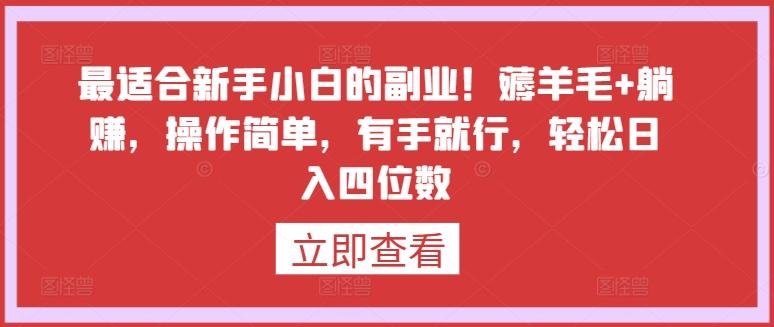 最适合新手小白的副业！薅羊毛+躺赚，操作简单，有手就行，轻松日入四位数【揭秘】-小鹏项目网