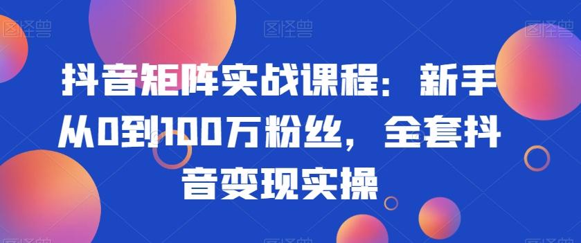 抖音矩阵实战课程：新手从0到100万粉丝，全套抖音变现实操-小鹏项目网