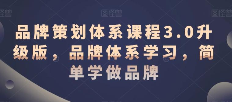 品牌策划体系课程3.0升级版，品牌体系学习，简单学做品牌-小鹏项目网