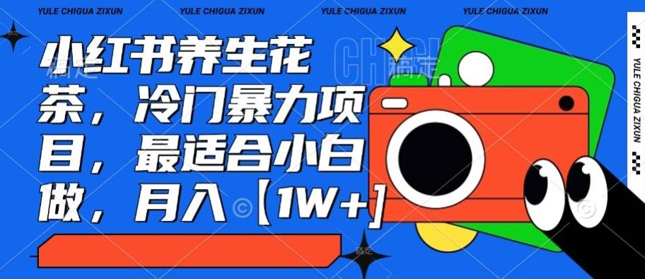 小红书养生花茶，冷门暴力项目，最适合小白做，月入【1W+】-小鹏项目网