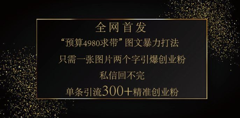小红书神奇图片引流法，只需一张图，就能单条笔记凭借此方法，轻松引流 300 + 精准创业粉-小鹏项目网