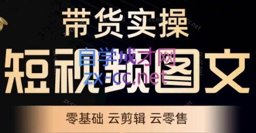 鑫哥·2024零基础短视频带货实操营-小鹏项目网