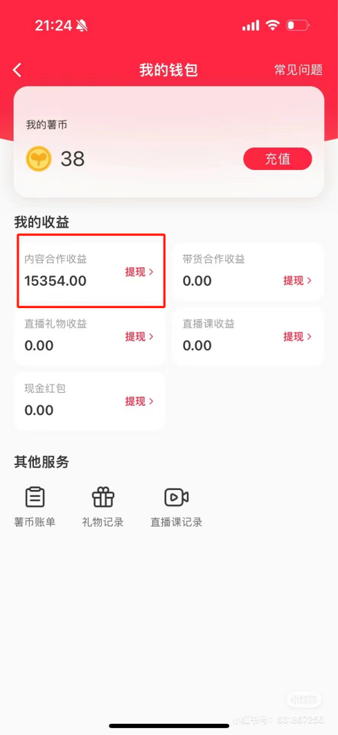 热门评论引爆小红书流量，作品制作简单，广告接到手软，月入过万不是梦-小鹏项目网