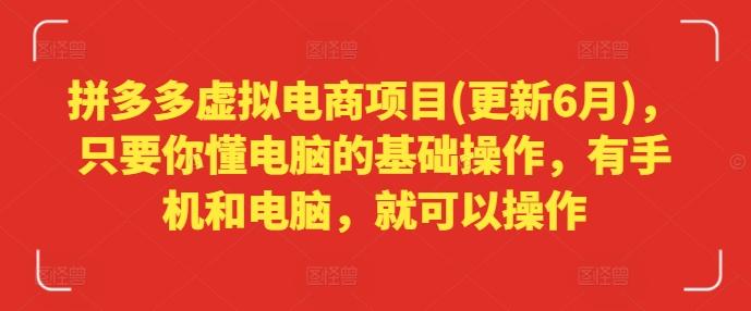 拼多多虚拟电商项目(更新6月)，只要你懂电脑的基础操作，有手机和电脑，就可以操作-小鹏项目网