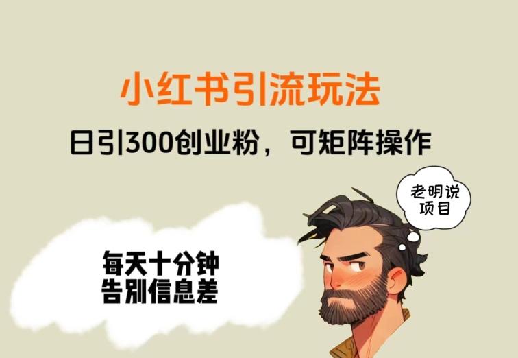 靠小红书视频日印300粉，两分钟一个视频轻松矩阵-小鹏项目网