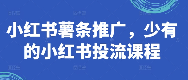 小红书薯条推广，少有的小红书投流课程-小鹏项目网