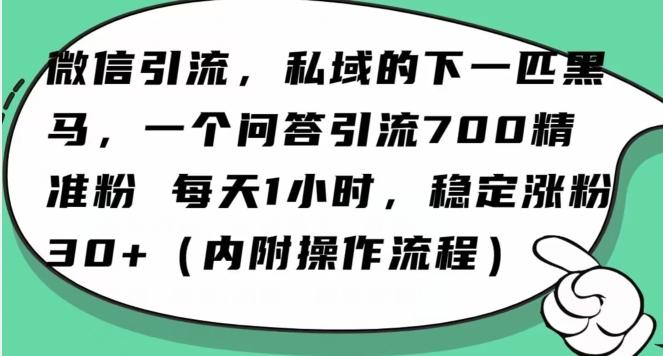 怎么搞精准创业粉？微信新赛道，每天一小时，利用Ai一个问答日引100精准粉-小鹏项目网