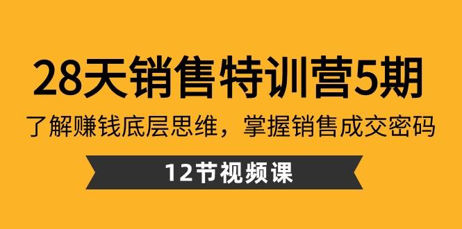 28天销售特训营5期：了解赚钱底层思维，掌握销售成交密码（12节课）-小鹏项目网