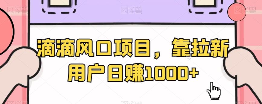 滴滴风口项目，靠拉新用户日赚1000+-小鹏项目网