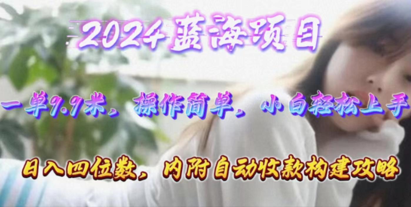 年轻群体的蓝海市场，1单9.9元，操作简单，小白轻松上手，日入四位数-小鹏项目网