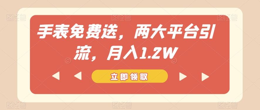 手表免费送，两大平台引流，月入1.2W【揭秘】-小鹏项目网
