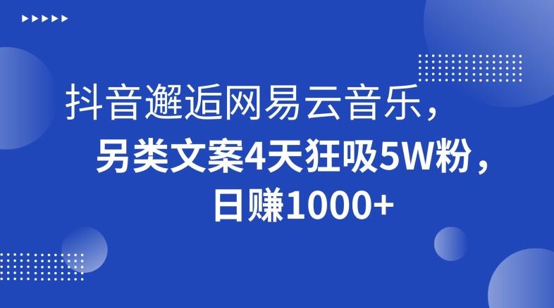 抖音邂逅网易云音乐，另类文案4天狂吸5W粉，日赚1000+【揭秘】-小鹏项目网