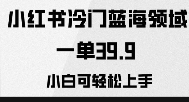 小红书冷门蓝海领域，一单39.9，小白可轻松上手-小鹏项目网