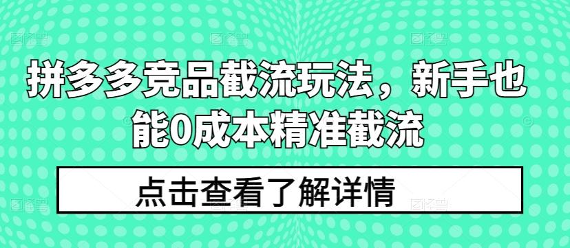 拼多多竞品截流玩法，新手也能0成本精准截流-小鹏项目网