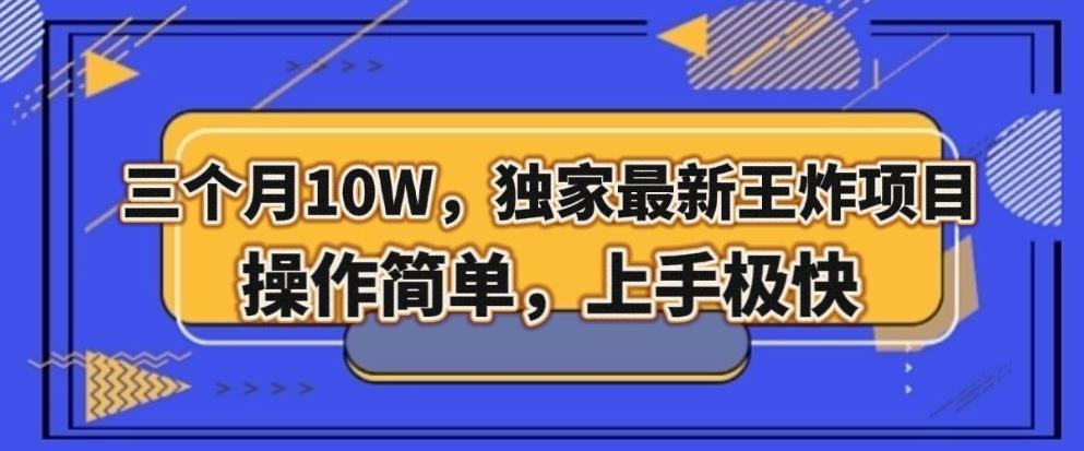 三个月10W，独家最新王炸项目！操作简单，上手极快【揭秘】-小鹏项目网